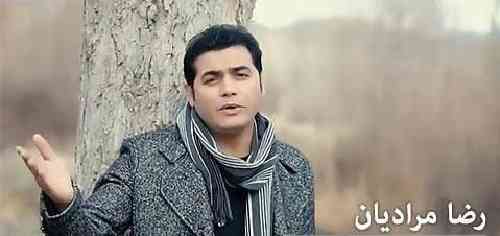 رضا مرادیان تباه